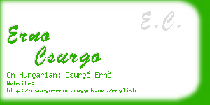 erno csurgo business card